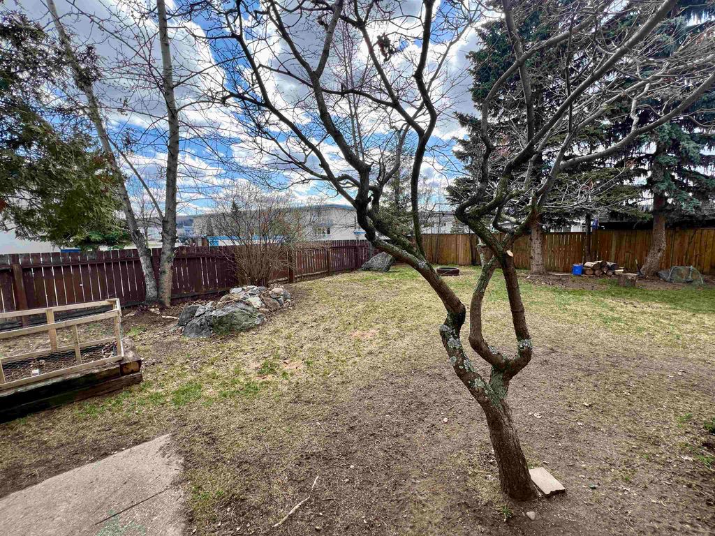 listing image 1106229017951681041