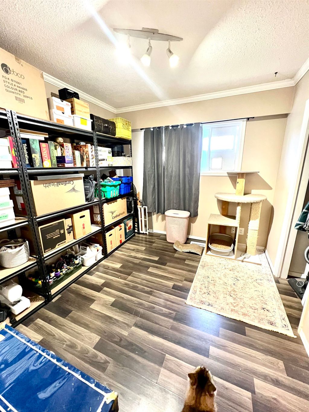 listing image 1102260483689852797