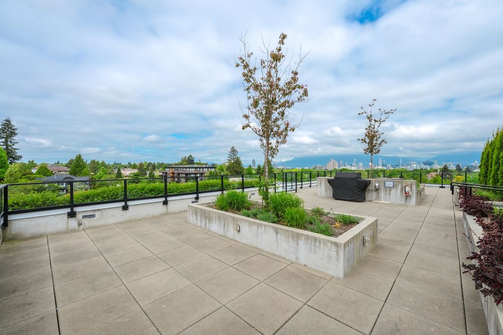 listing image 1103864125517169212