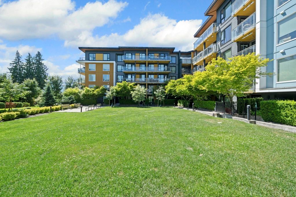 listing image 1105521741711265559