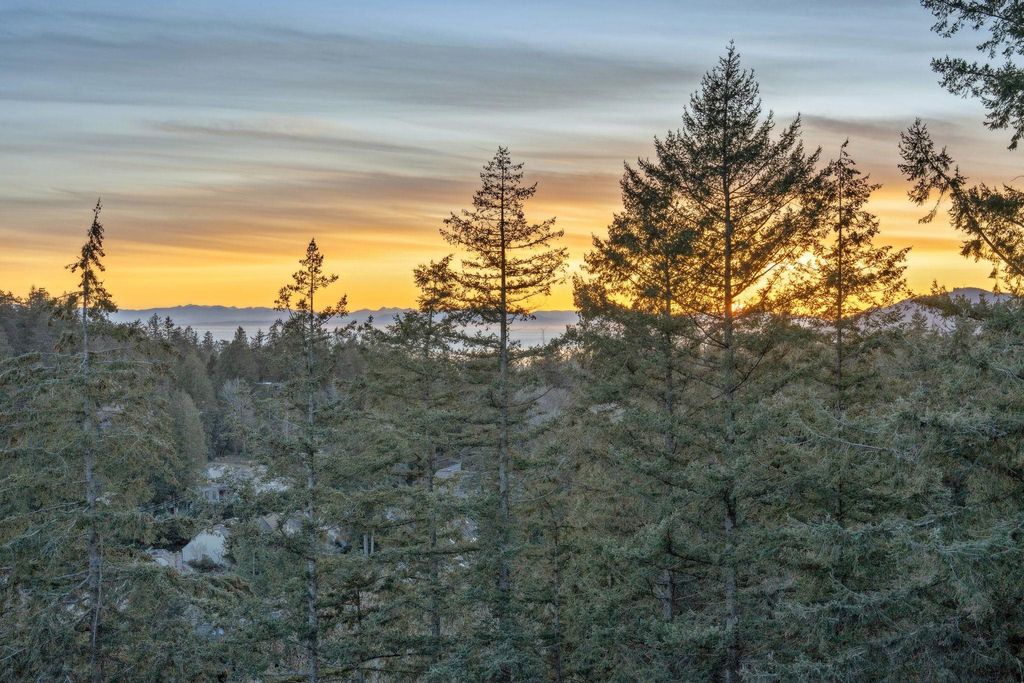 listing image 1108453234543455304