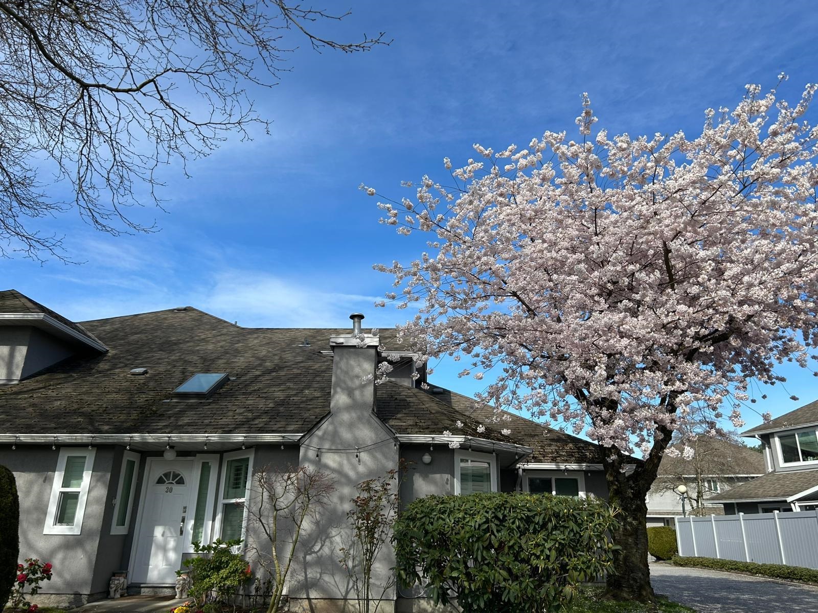 9731 Capella Drive 30