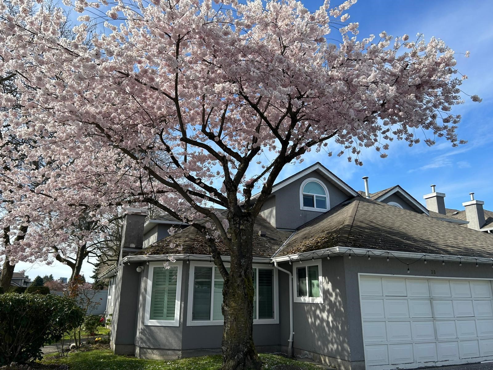 9731 Capella Drive 30