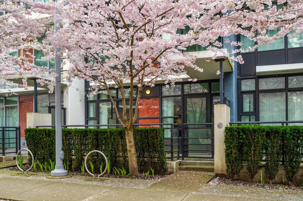 8628 Hazelbridge Way 42