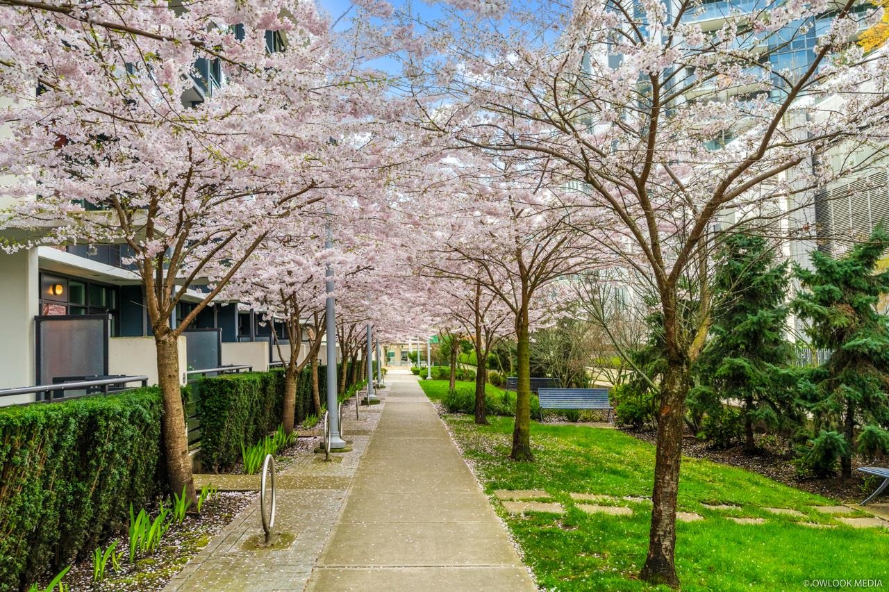 8628 Hazelbridge Way 42