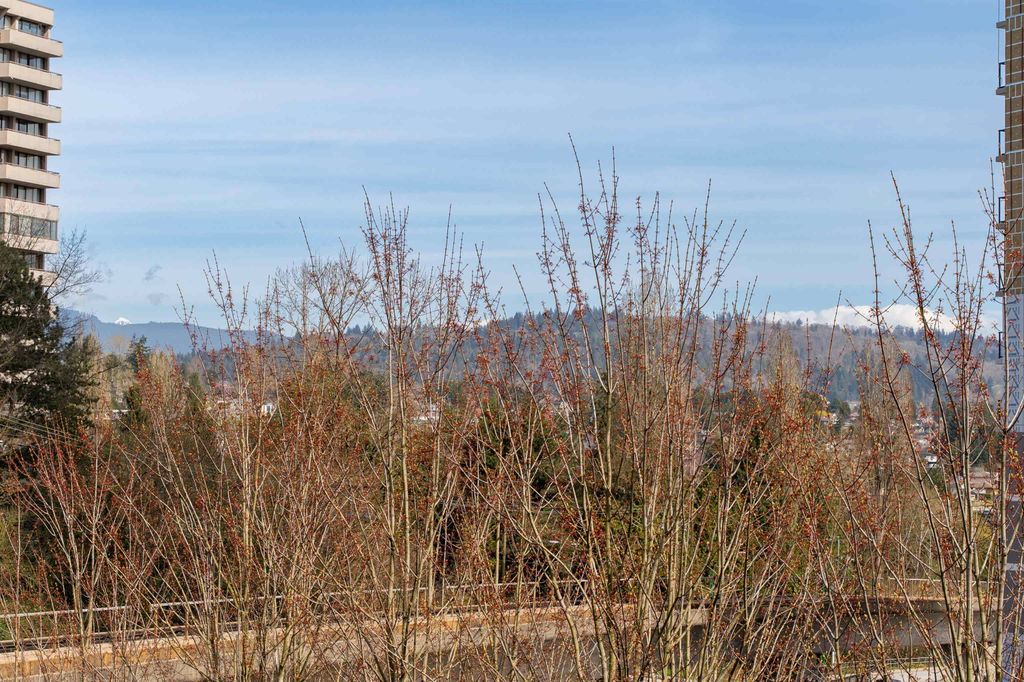 listing image 1108165853089518215