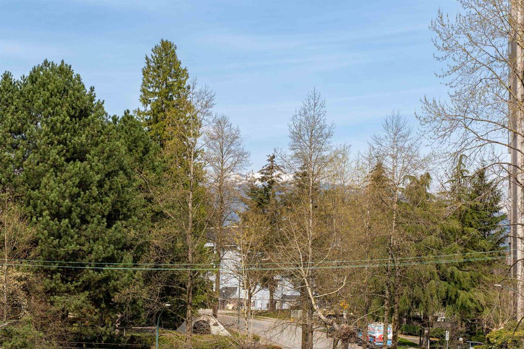 listing image 1102104109537071901