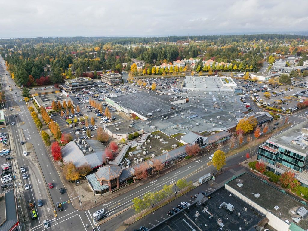 listing image 1100761253417872661