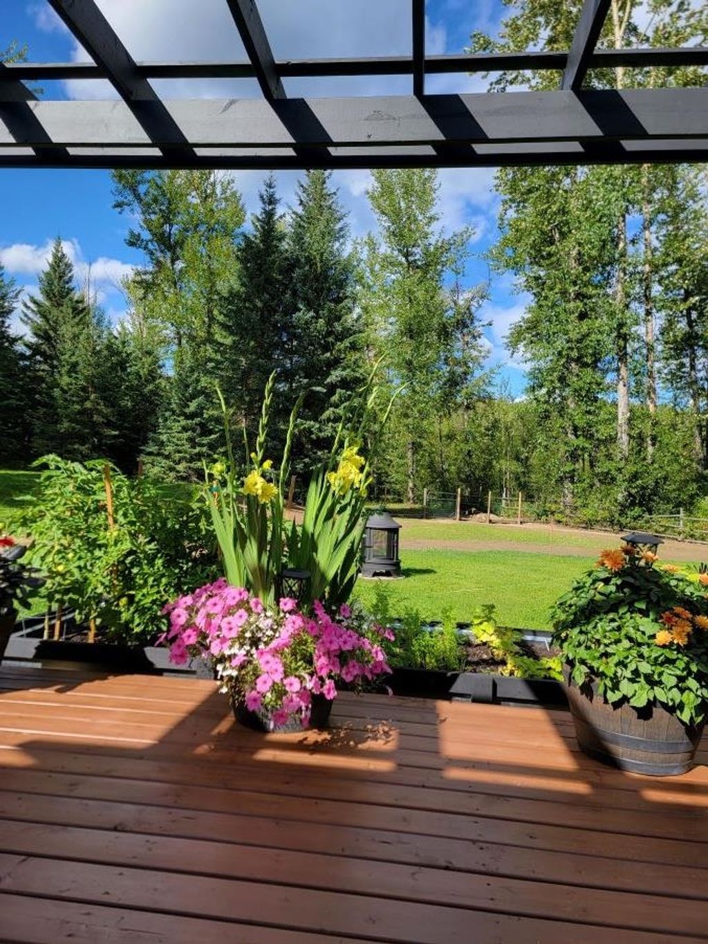 listing image 1108506712226811997