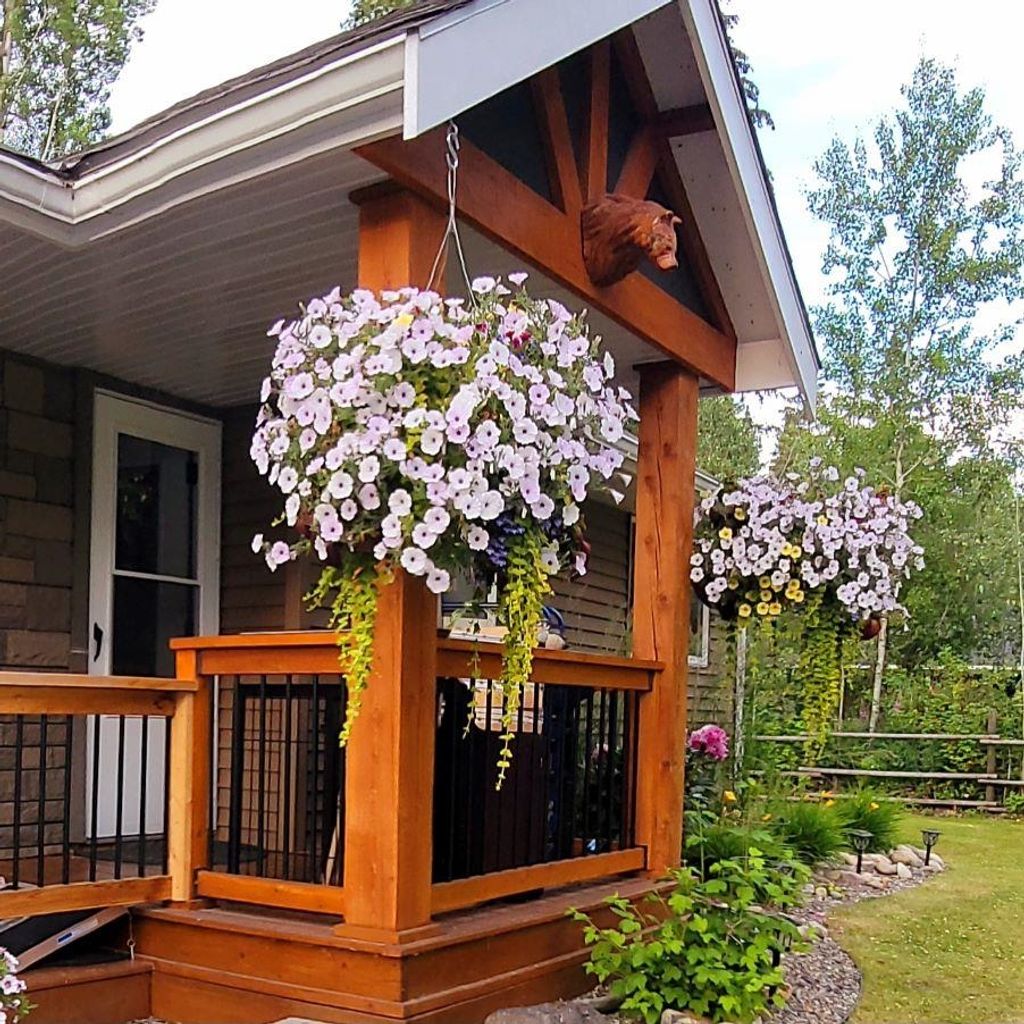 listing image 1109271753642706097