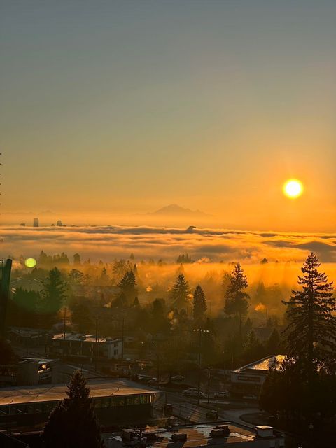 7063 Hall Avenue 1606 Burnaby BC V5E 0A5