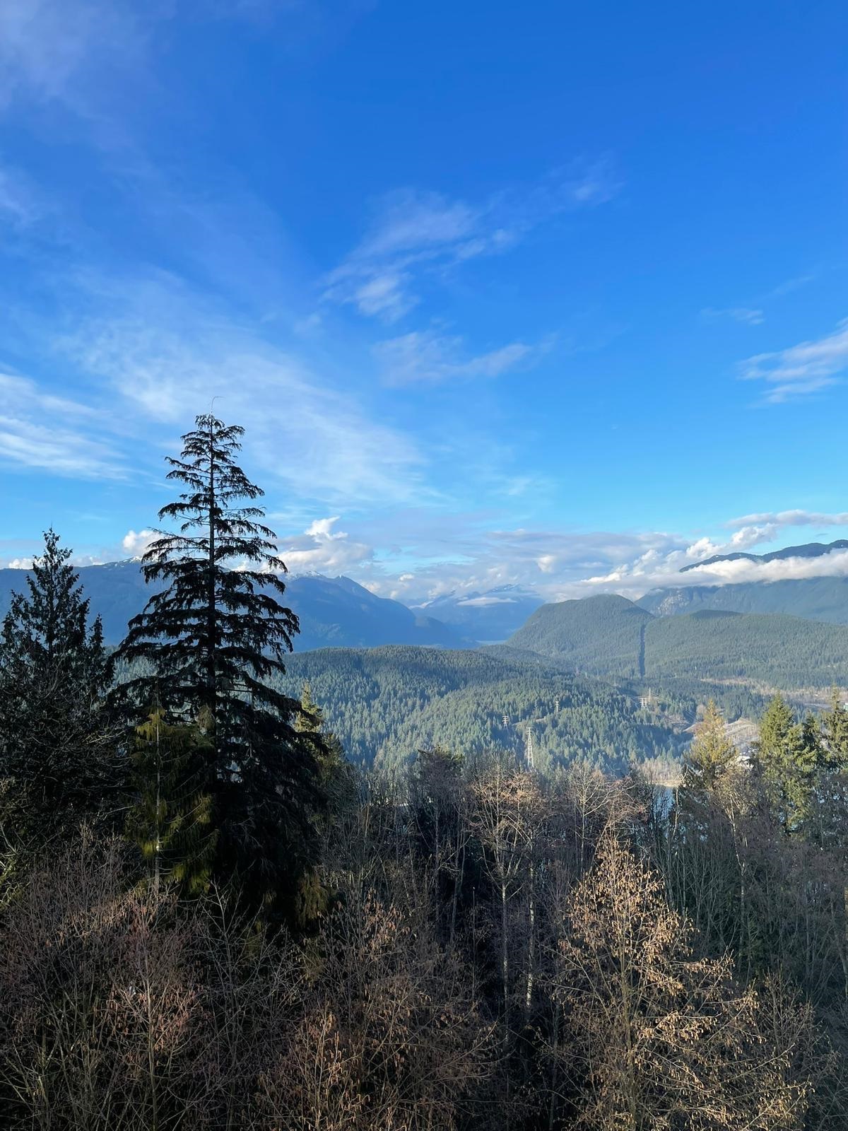 9232 University Crescent 801