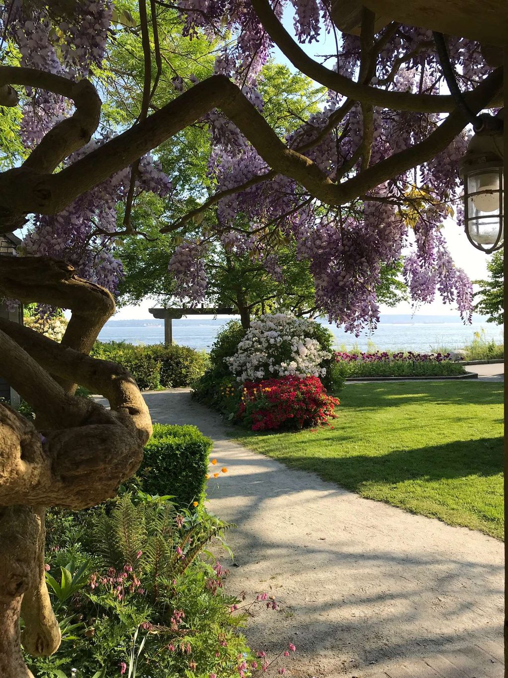 listing image 1108637581254511984
