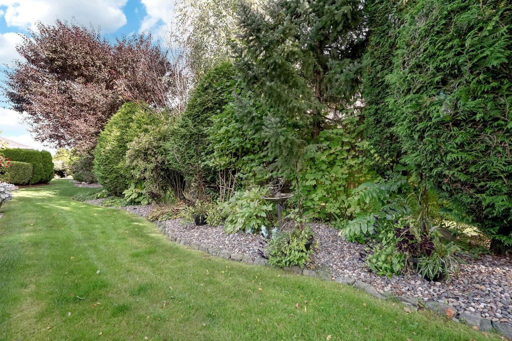listing image 1105057530536835382