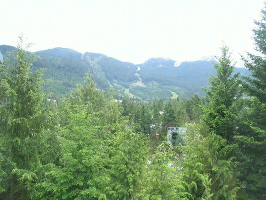 listing image 1109959919596879554