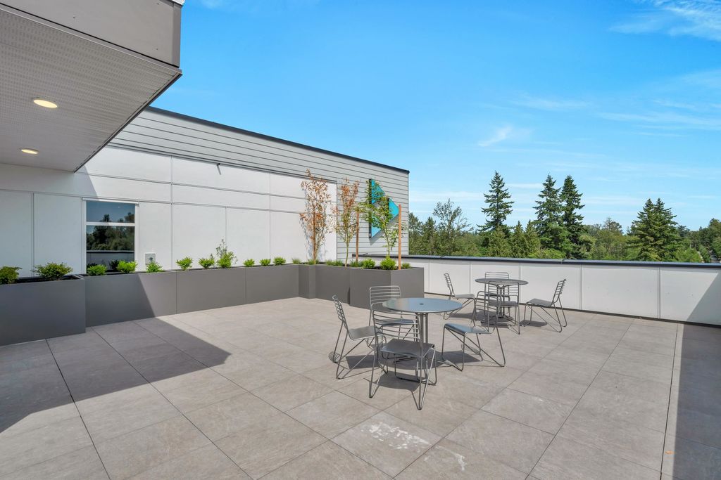 listing image 1103207239528208557