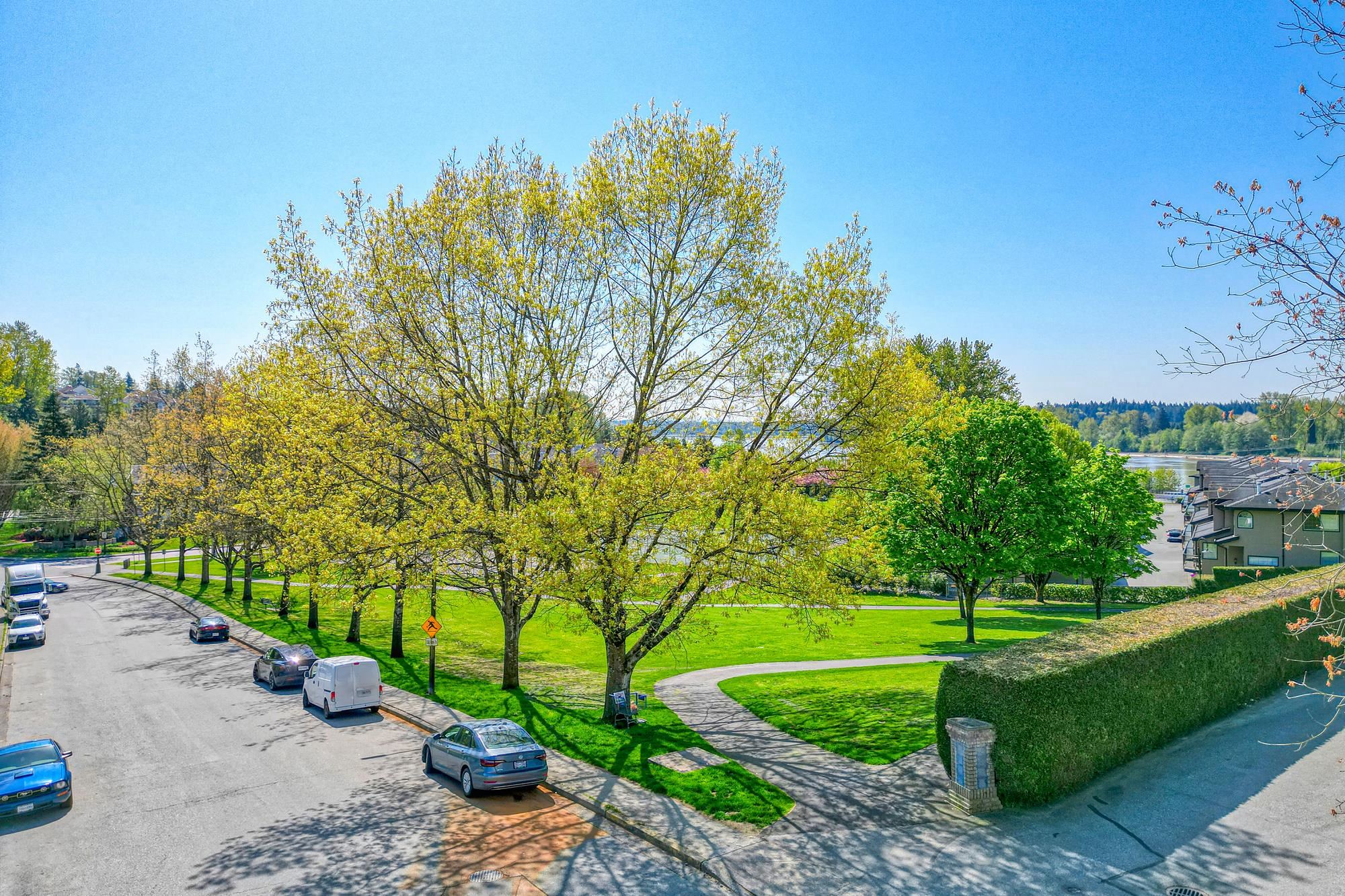 11595 Fraser Street 204