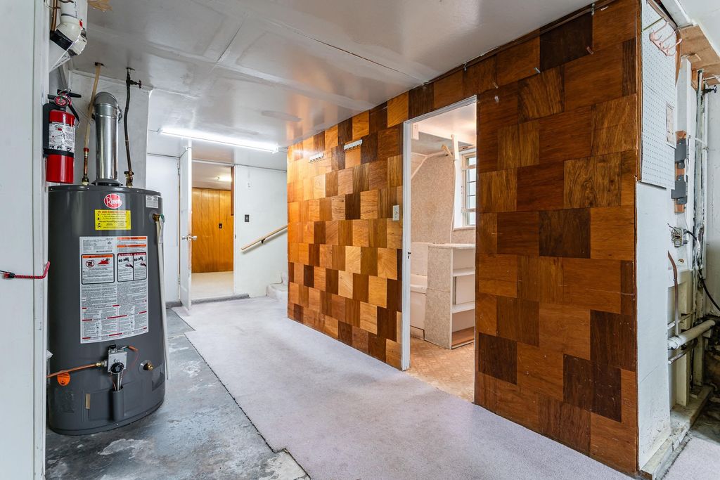 listing image 1100263625859971732