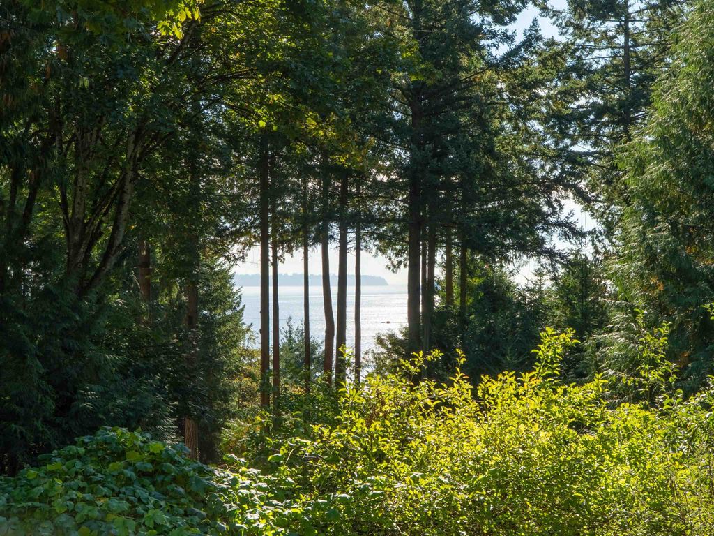 listing image 1104723099274857873