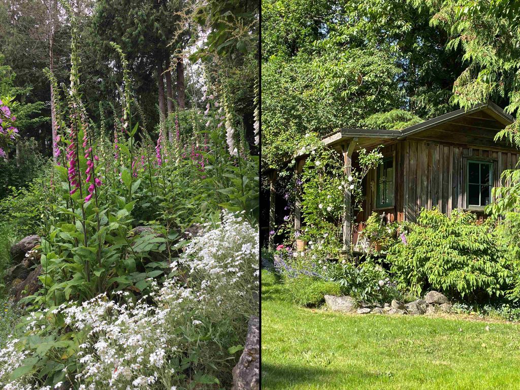 listing image 1102260185666249318