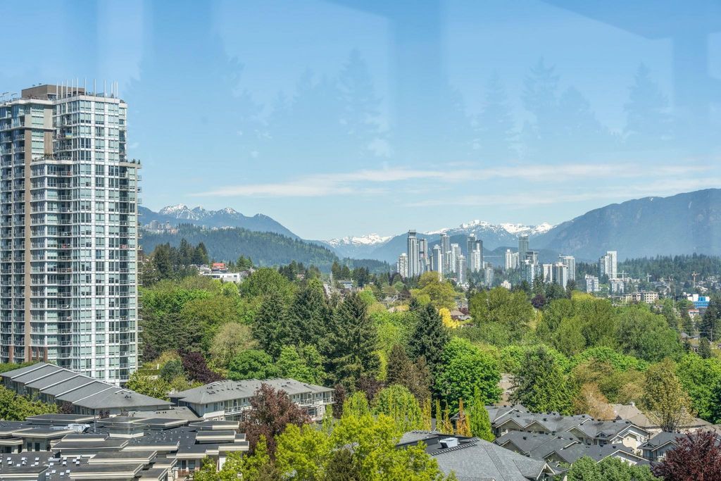 listing image 1103957792390852911