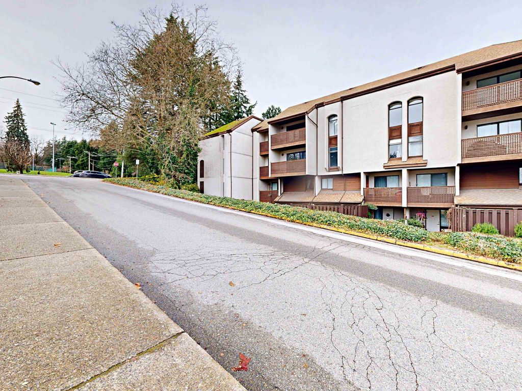 listing image 1101932673724409830