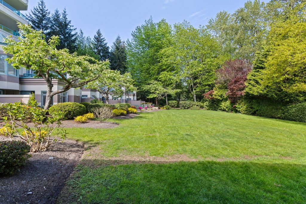 listing image 1106936721198664729