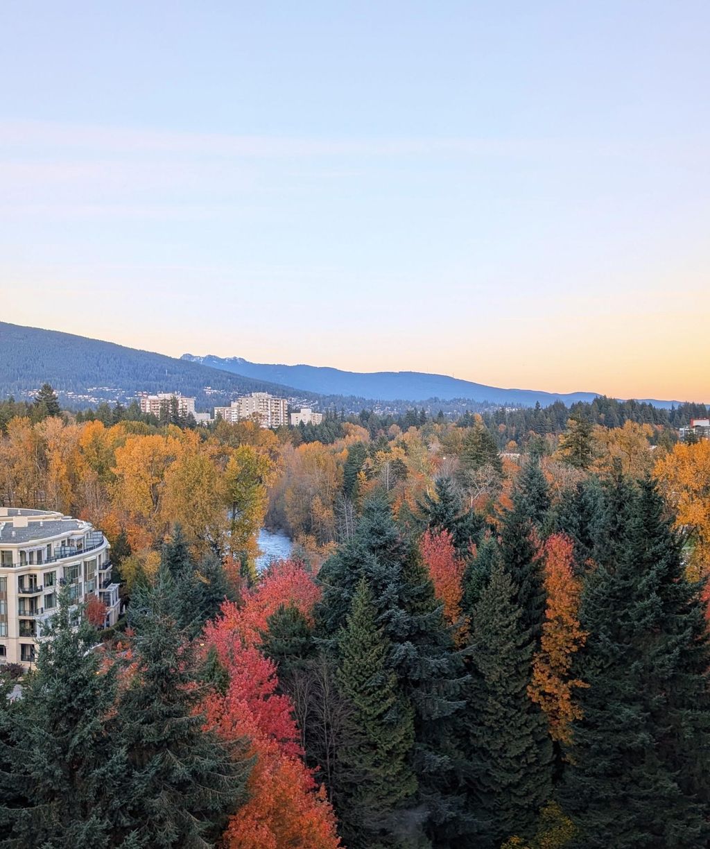 listing image 1108651578582941255