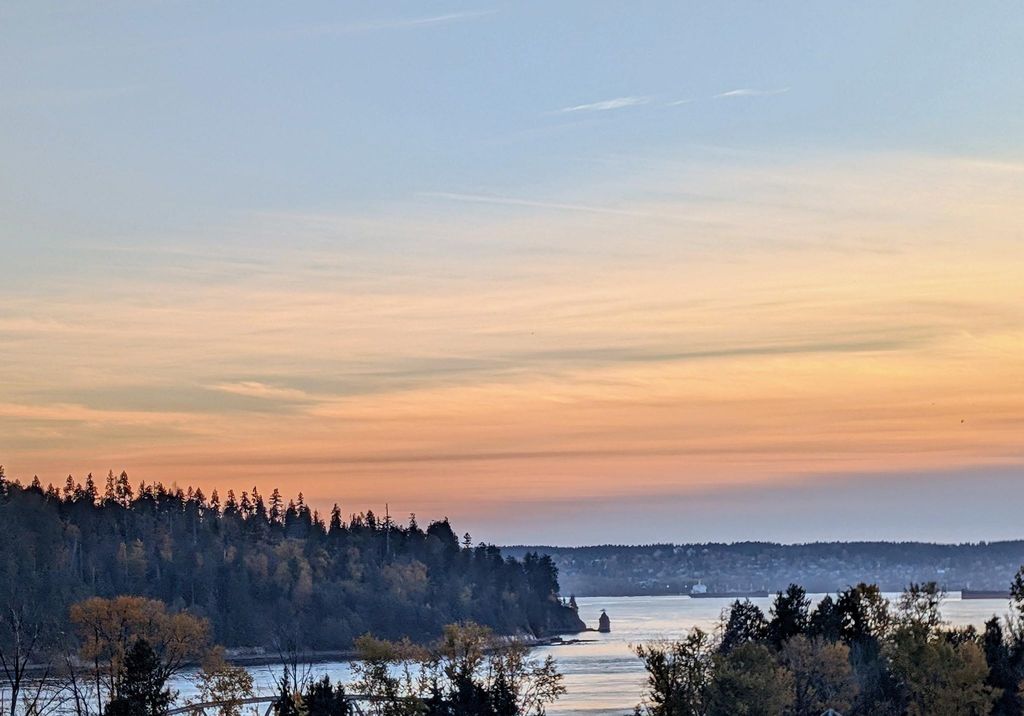 listing image 1106173353763265713