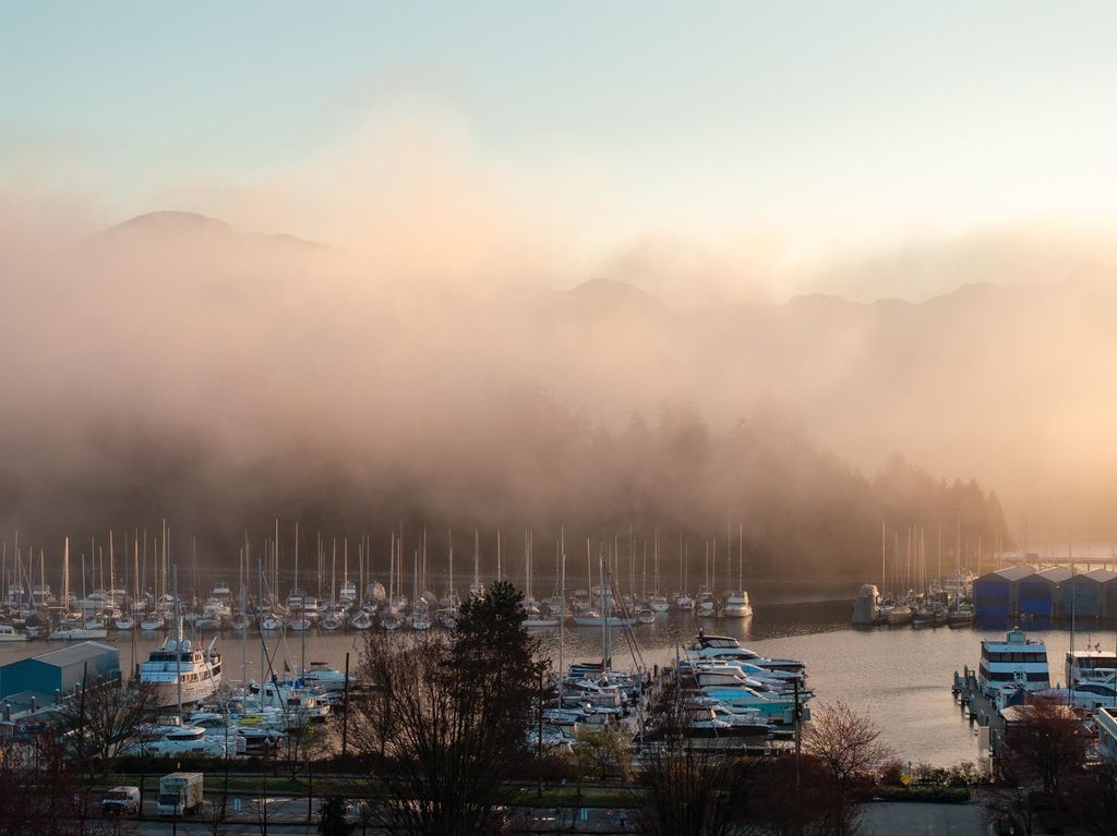 listing image 1105998232337826633