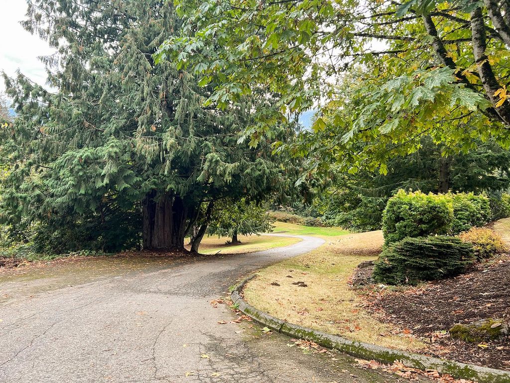 listing image 1102392027122376826