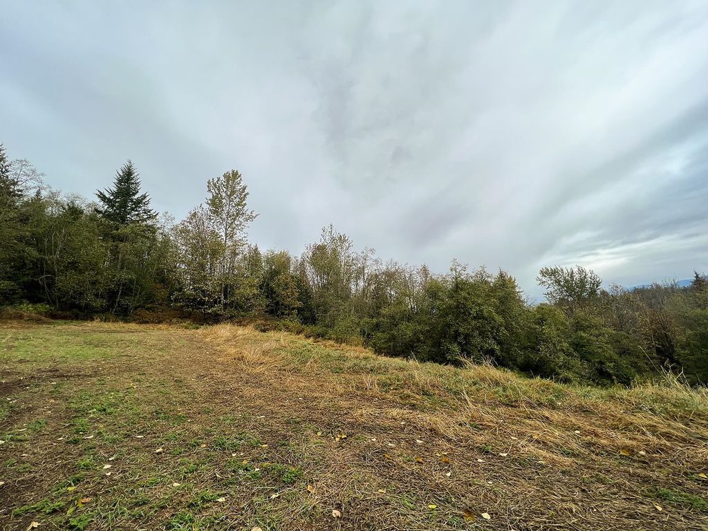 listing image 1103521090783101743