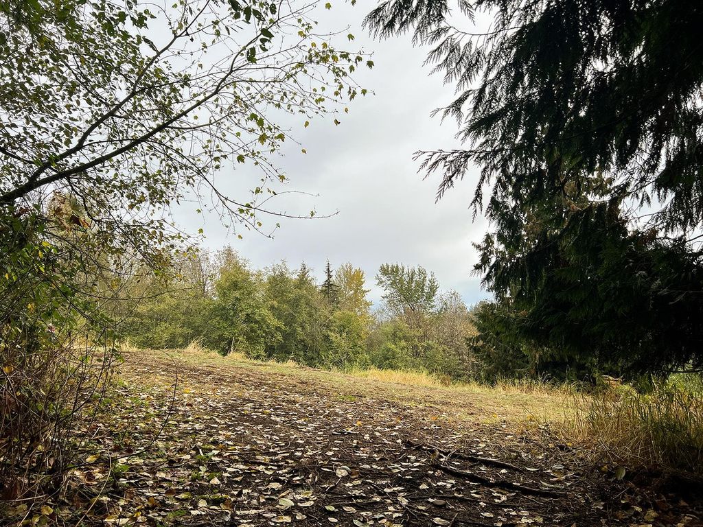 listing image 1101828206293604143