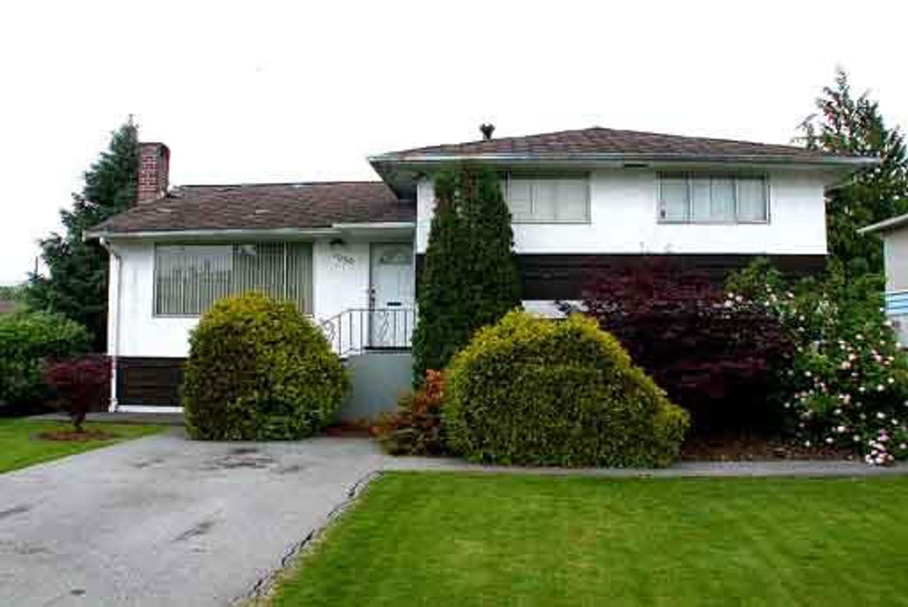 listing image 1106404356174182511