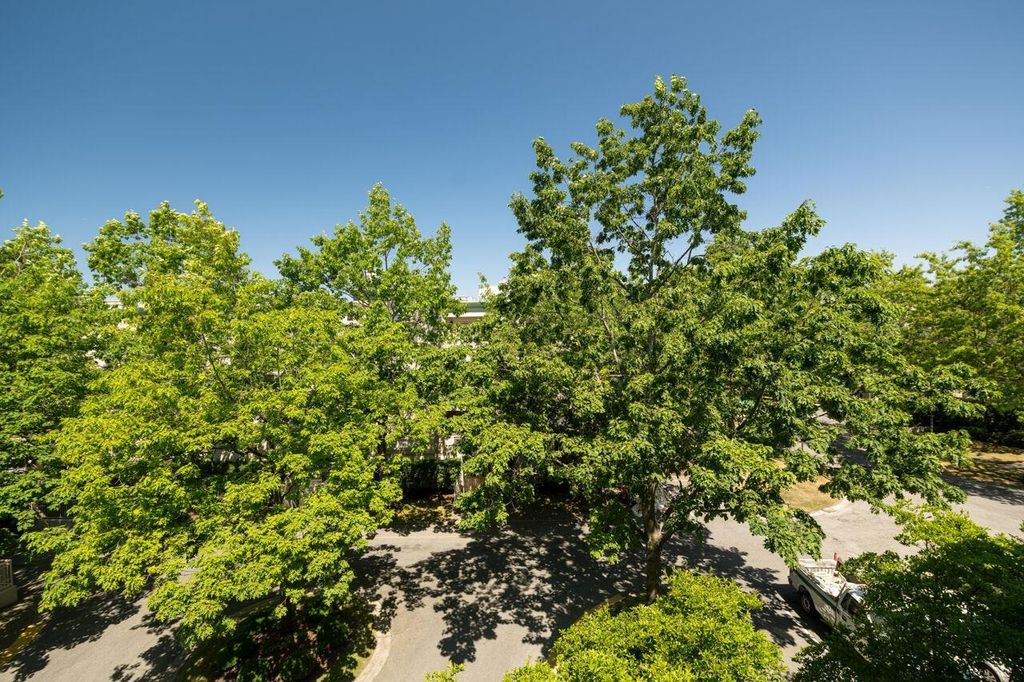 listing image 1102053685505281665