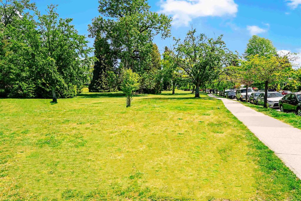 listing image 1105827480232652191