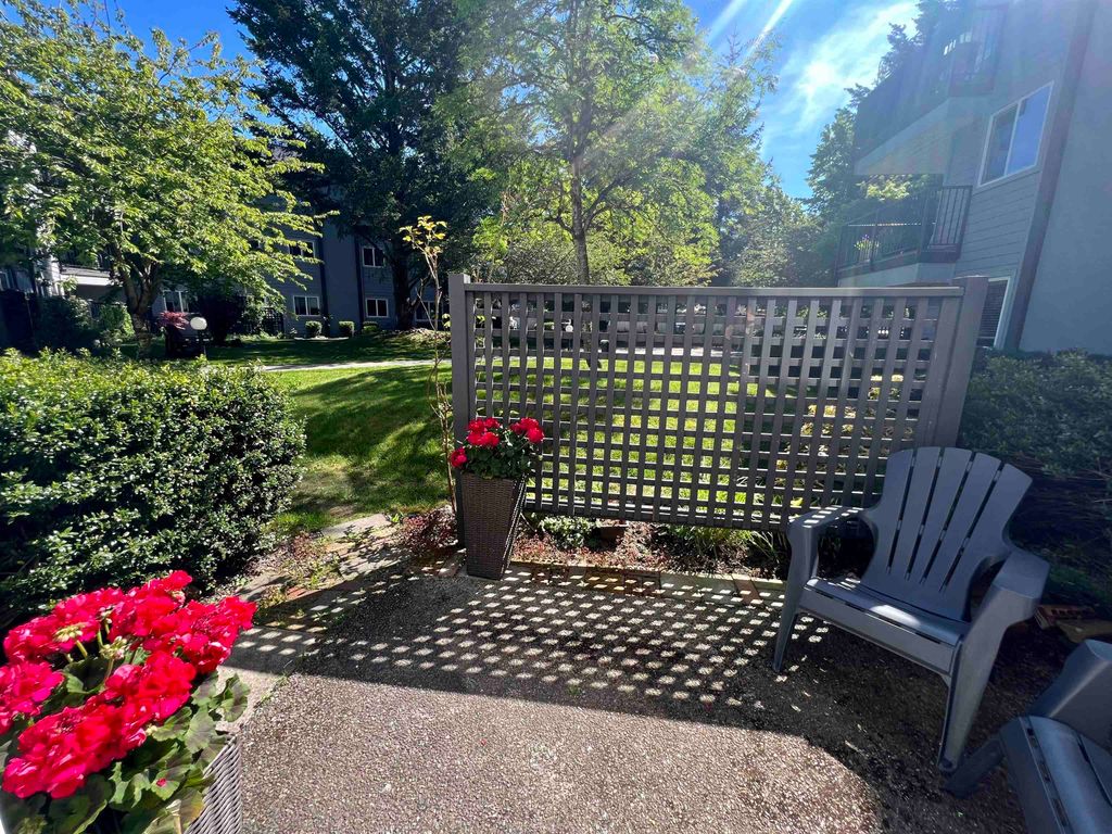 listing image 1100230845257678102