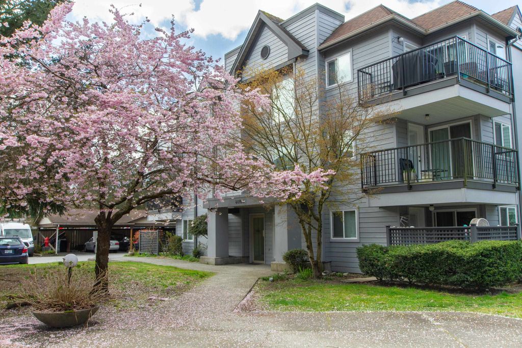 listing image 1109162212874509293
