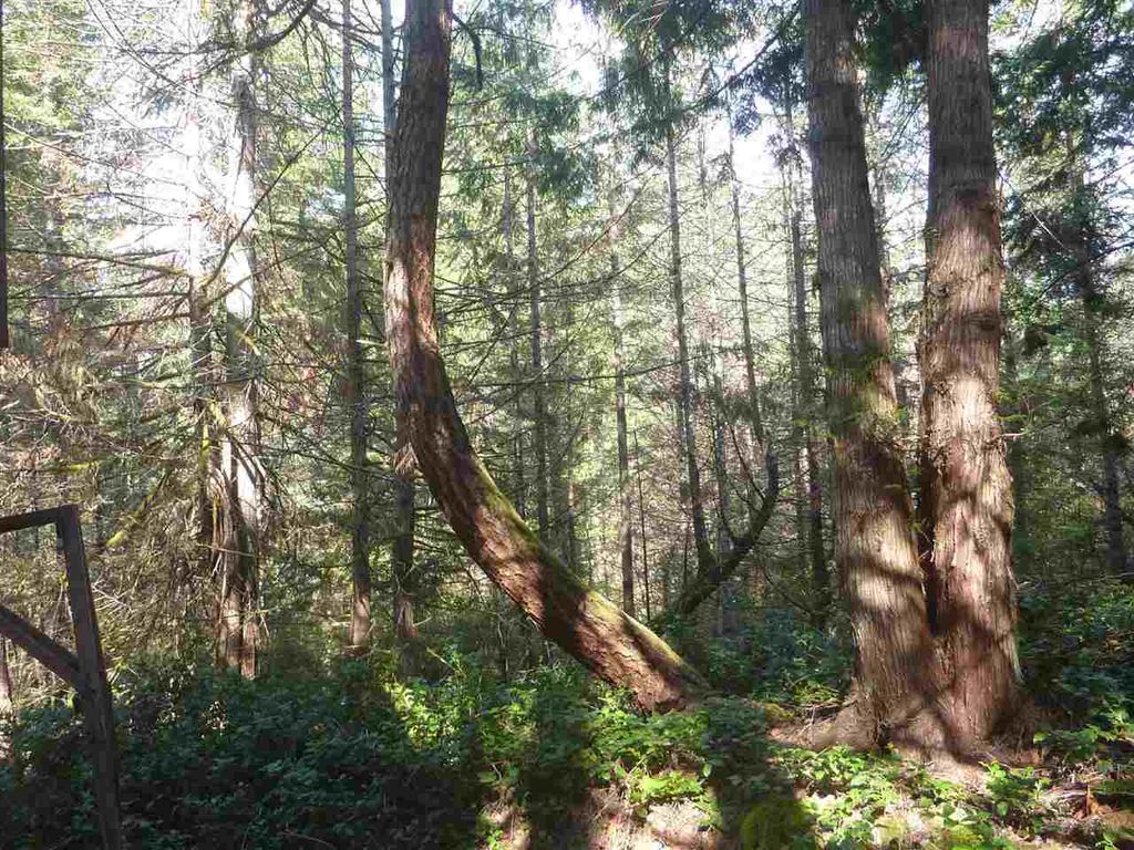 listing image 1109967990933219749