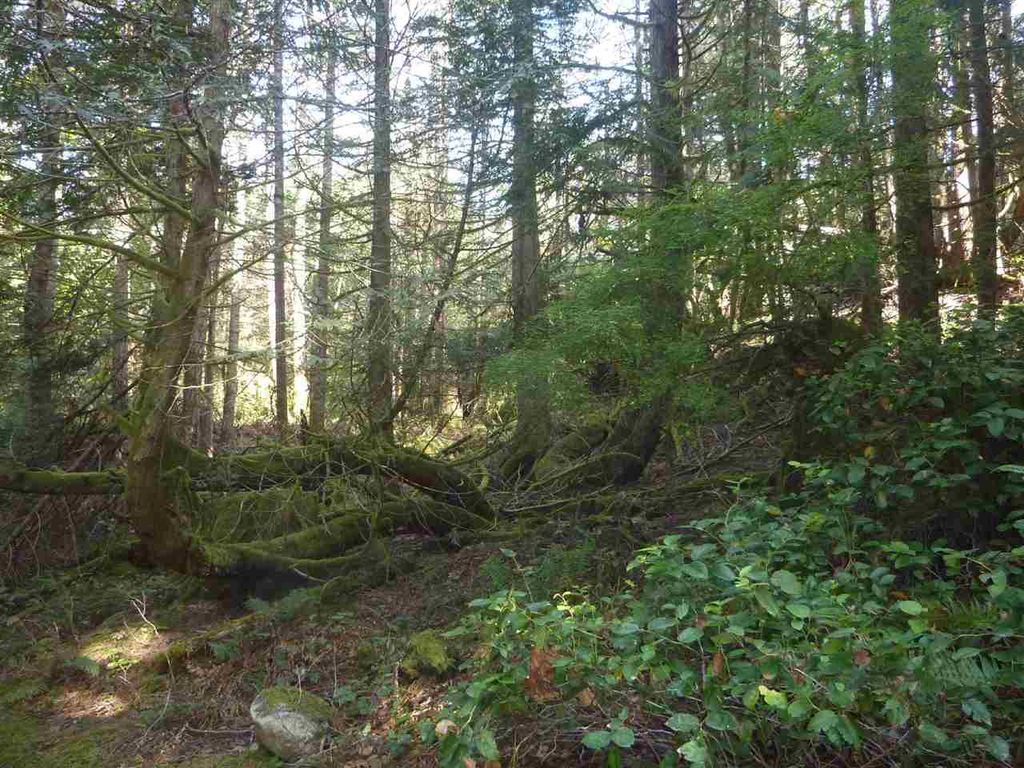 listing image 1108179592315217321