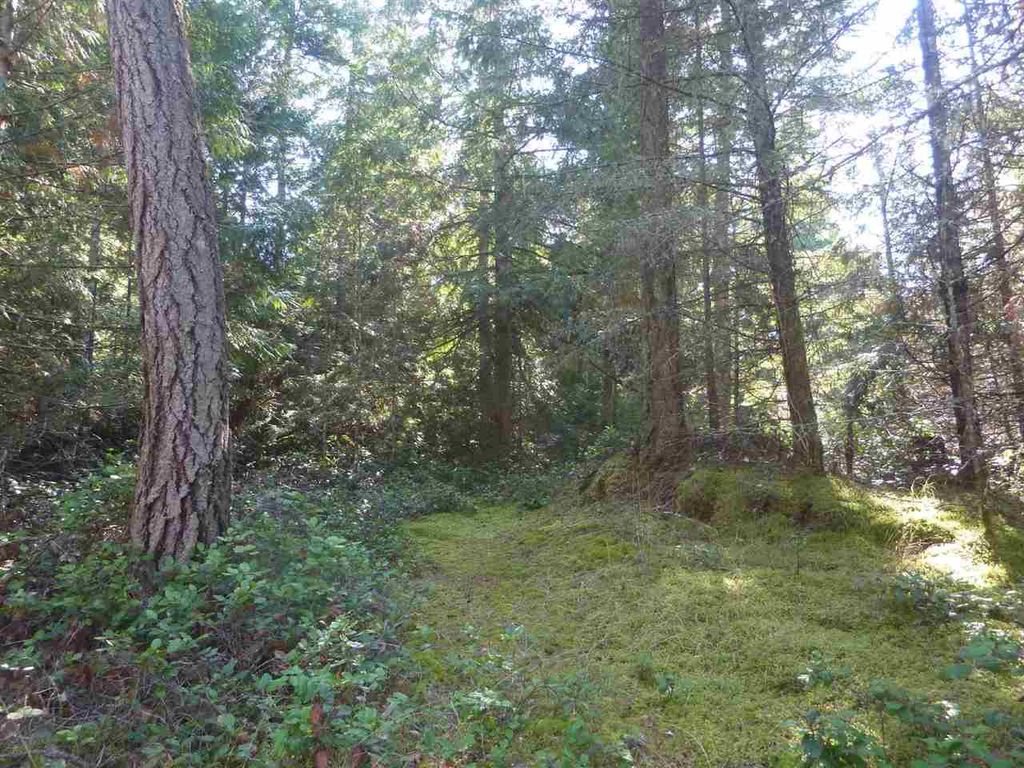 listing image 1103835768020908005