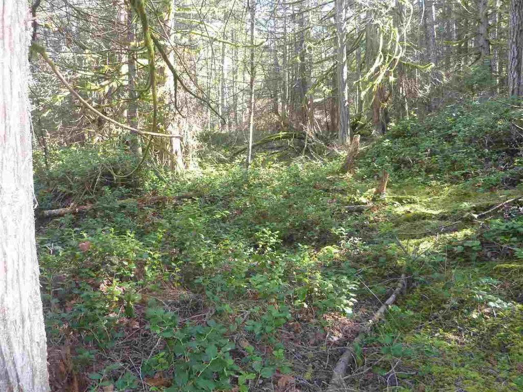 listing image 1106528188510290715