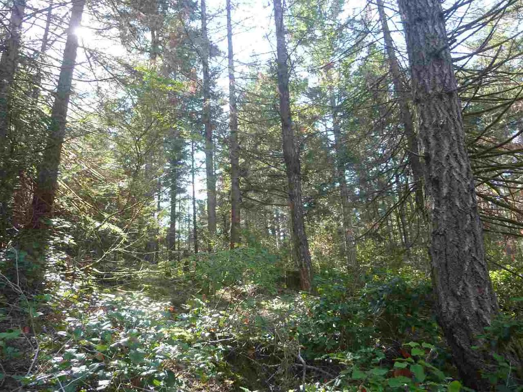 listing image 1108369040713439441
