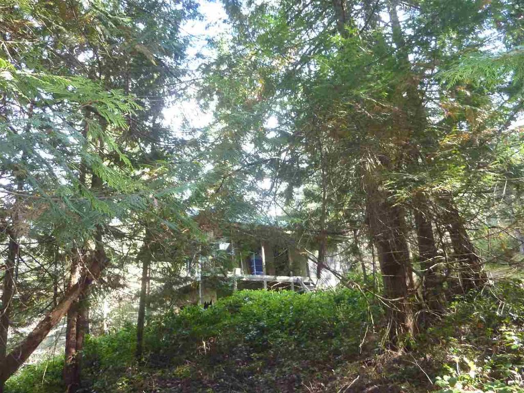 listing image 1100526793070605221