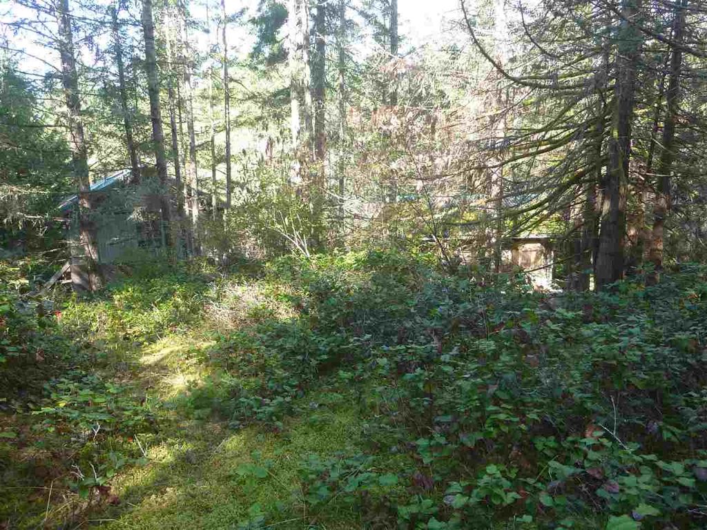 listing image 1106426632075361843