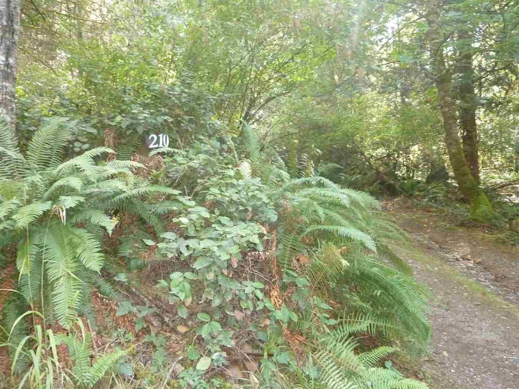 listing image 1108488511035974475