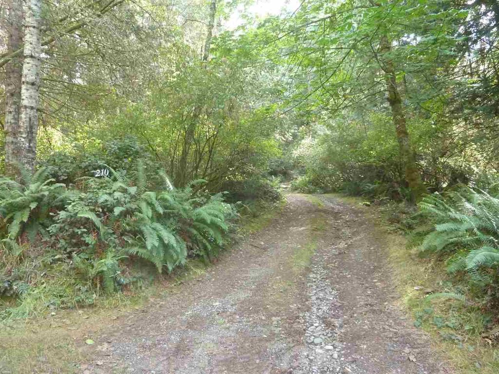 listing image 1107345218094795374