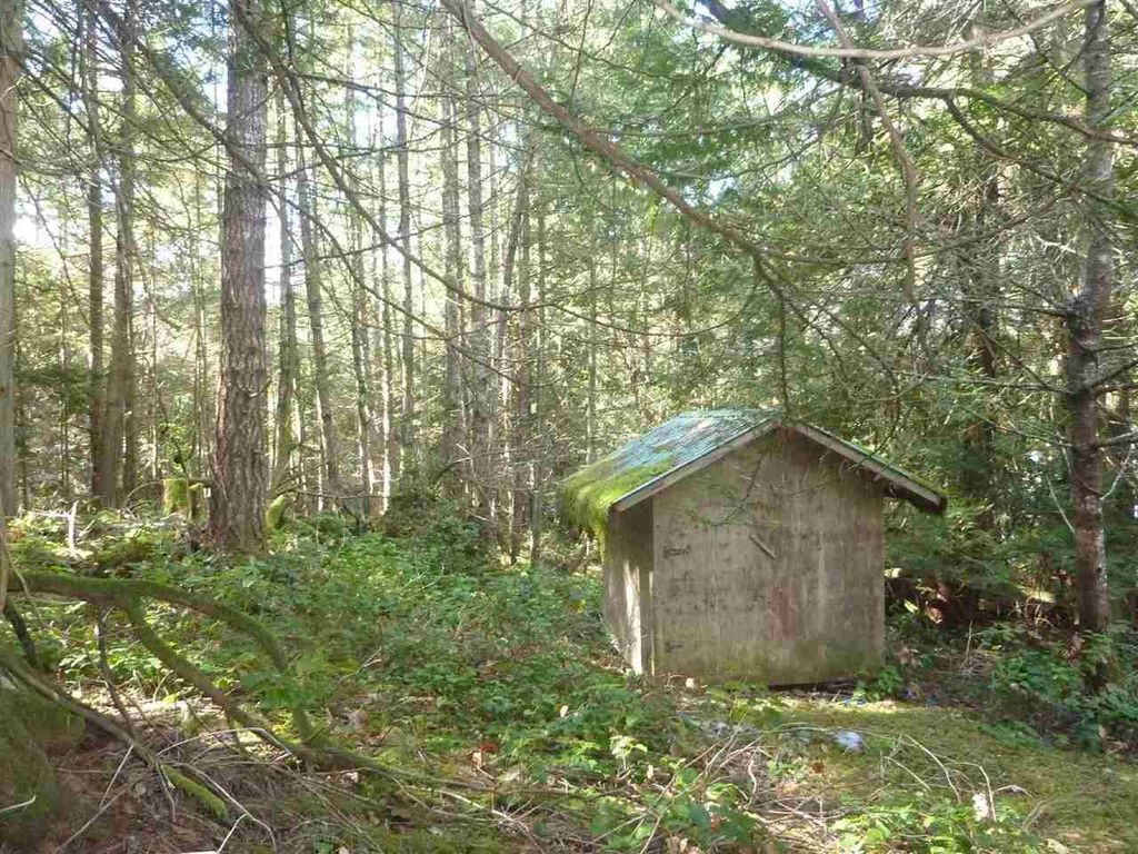 listing image 1105203261979851771