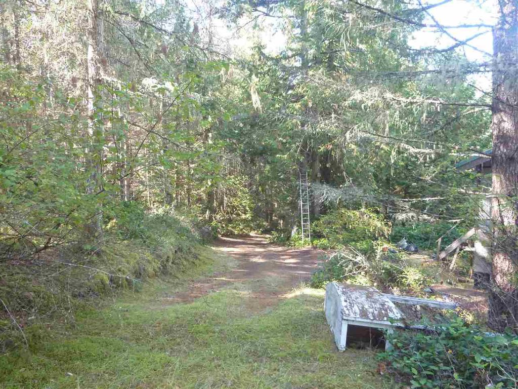 listing image 1102147140523900618