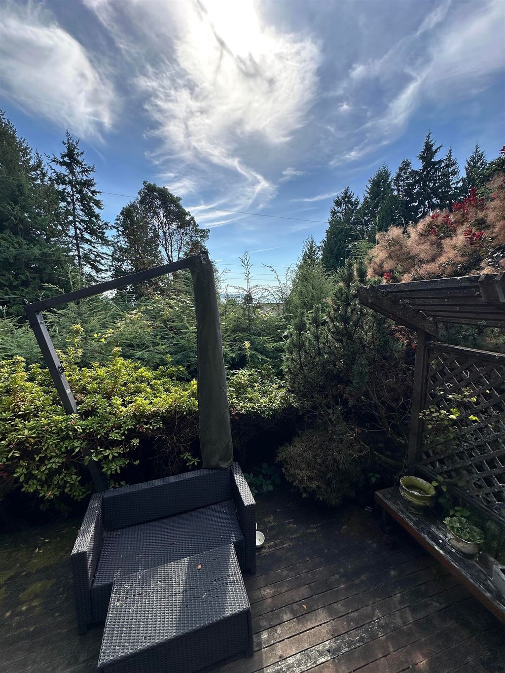 listing image 1102493170882890500